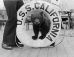 BB-44 California