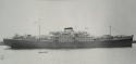 ex-BACV-6/HMS Tracker