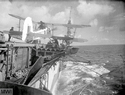 BACV-6 HMS Tracker