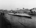 Nautilus