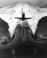 SSN 689