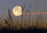 Harvest Moon>