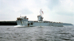 LSM-491