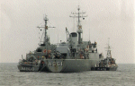 MSO-516