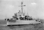 MSO-516