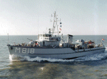 MSC-181