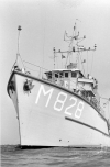MSC-185