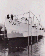 YMS-1