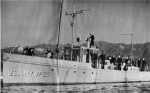 YP-33