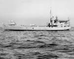 YP-439