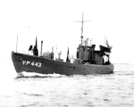 YP-443