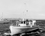 YP-589