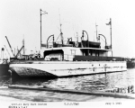 YNg-1