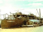 YRBM-21
