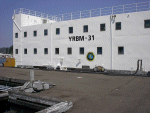 YRBM-31