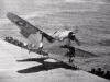 CV-18 Wasp