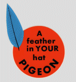 Pigeon