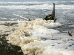 Sea Foam