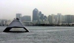 IX-529