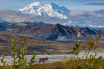 Mount McKinley