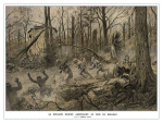 Belleau Wood