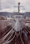 MSO-452
