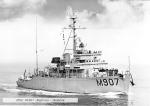 MSO-503