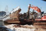 MSC-307
