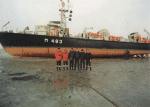 MSI-95
