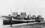 YMS-155