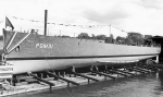 PGM-31