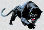 Panther