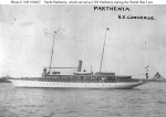 Parthenia